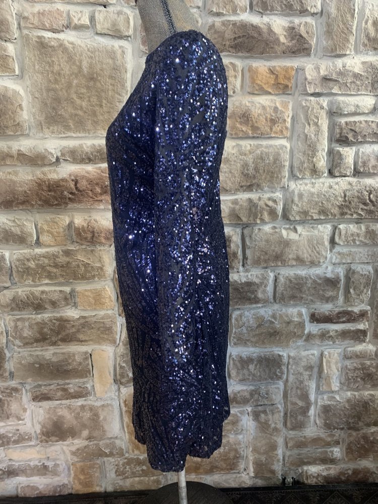 Marina Navy Long Sleeve Sequin Allover Dress, Size 4