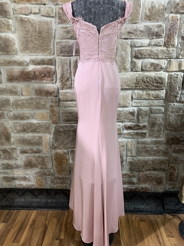 Nox Anabel Dusty Rose Applique Gown With Separate Train Skirt, Size S