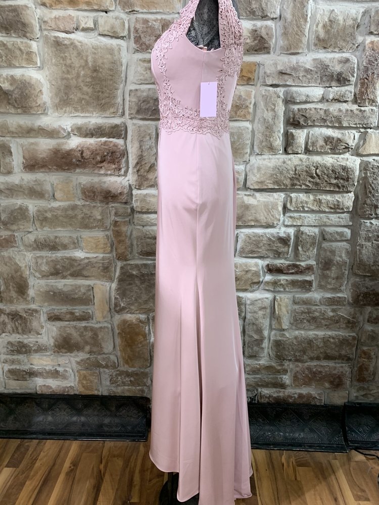 Nox Anabel Dusty Rose Applique Gown With Separate Train Skirt, Size S