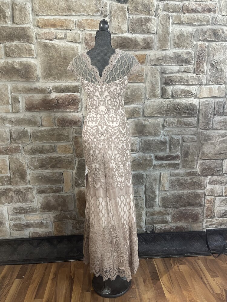 Tadashi Shoji Beige Embroidered Lace Gown, Size 6