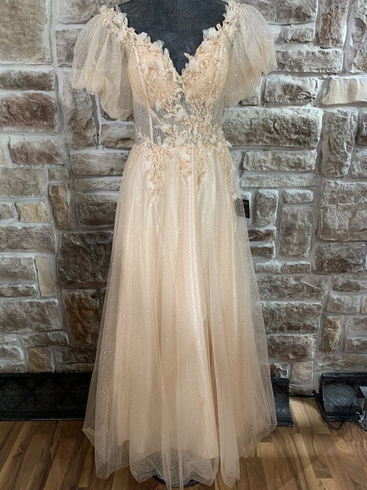 Champagne Gold Sparkle Gown with Puffy Sleeves