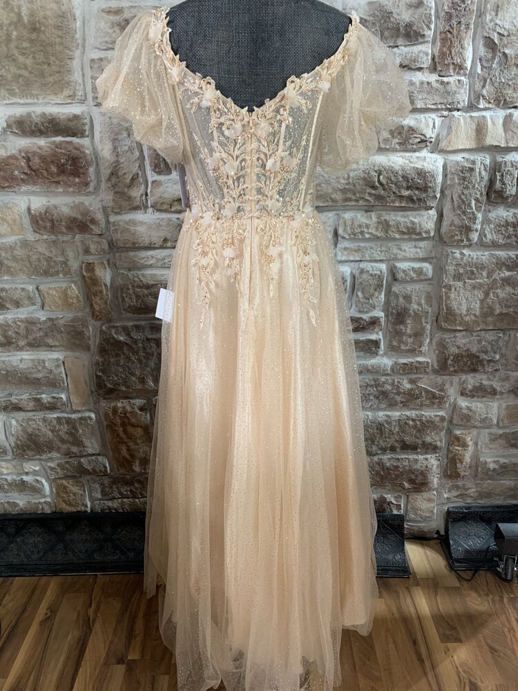 Champagne Gold Sparkle Gown with Puffy Sleeves