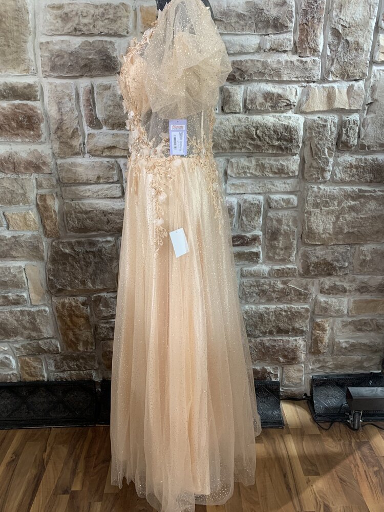 Champagne Gold Sparkle Gown with Puffy Sleeves