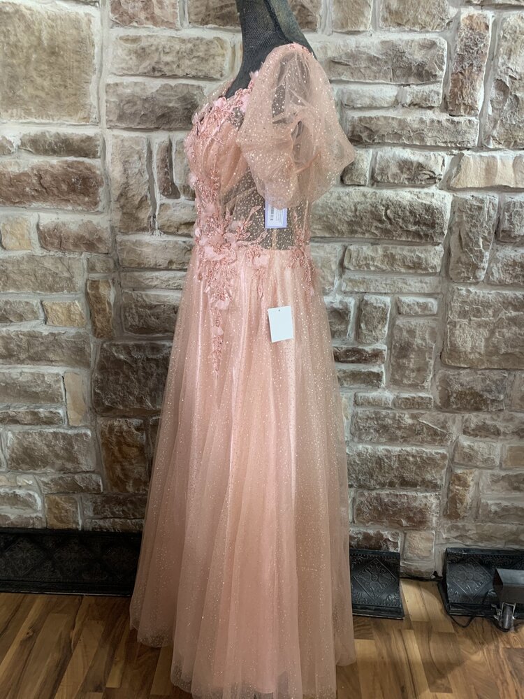 Ladivine Blush Gold Sparkle Gown with Puffy Sleeves, Size XL