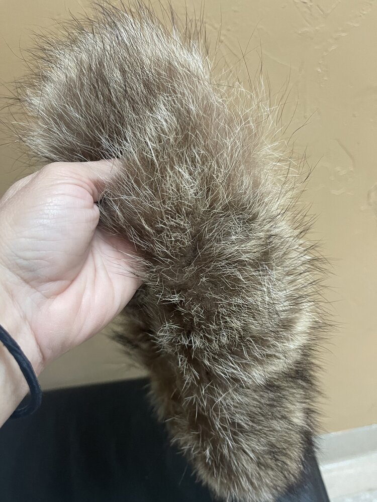 North American Raccoon Headband, 23 inches
