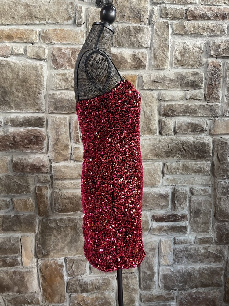 Bear Dance Iridescent Red Sequin Dress with Elastic Straps