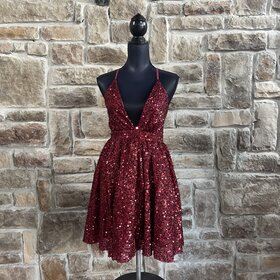 Luxxel Wine Fuzzy Sequin Skater Dress