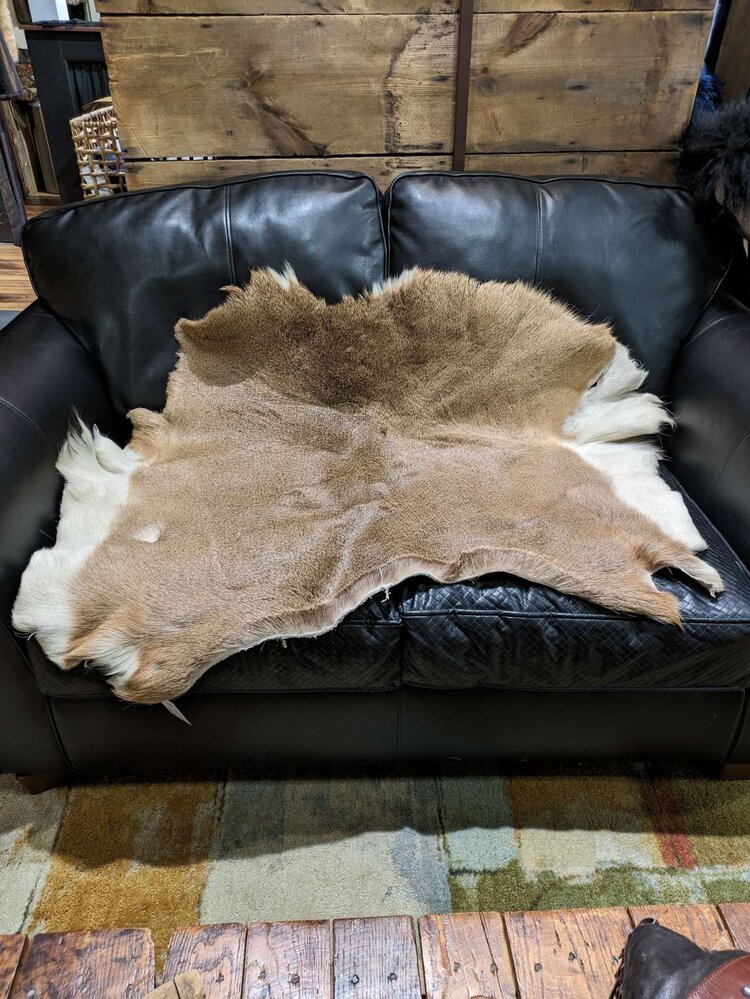 White Tail Deer Skin, Size 45" x 36"