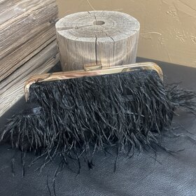 Black Frame Clutch Feathered Evening Handbag