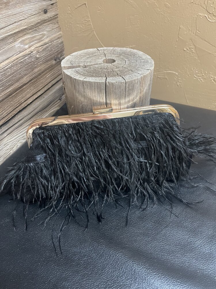 Black Frame Clutch Feathered Evening Handbag