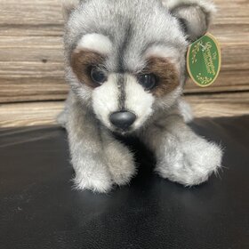 Rocko the Raccoon