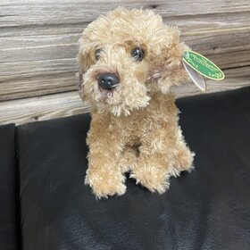 Doodles the Labradoodle
