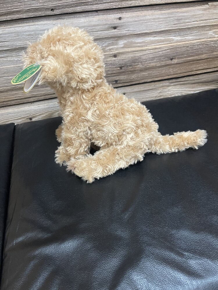 Doodles the Labradoodle