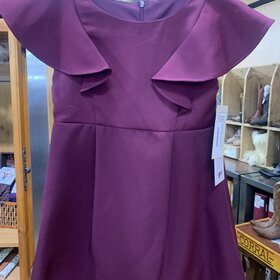 Eggplant Princess Line Front Ruffle Dress