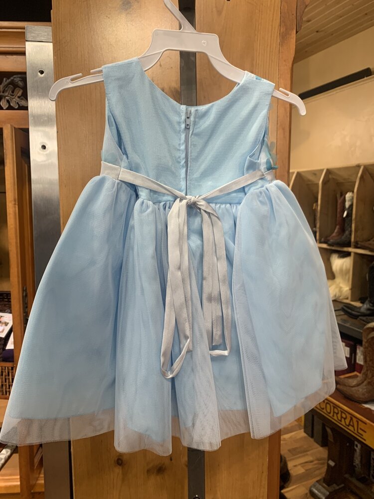 Baby Blue Chiffon Flower Dress, Size M (12M)