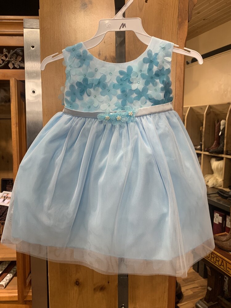 Baby Blue Chiffon Flower Dress, Size M (12M)