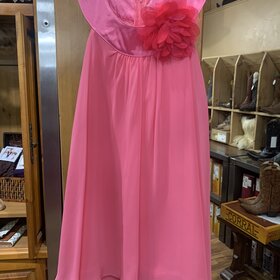 Pink Chiffon A-Line Dress, Size 9/10