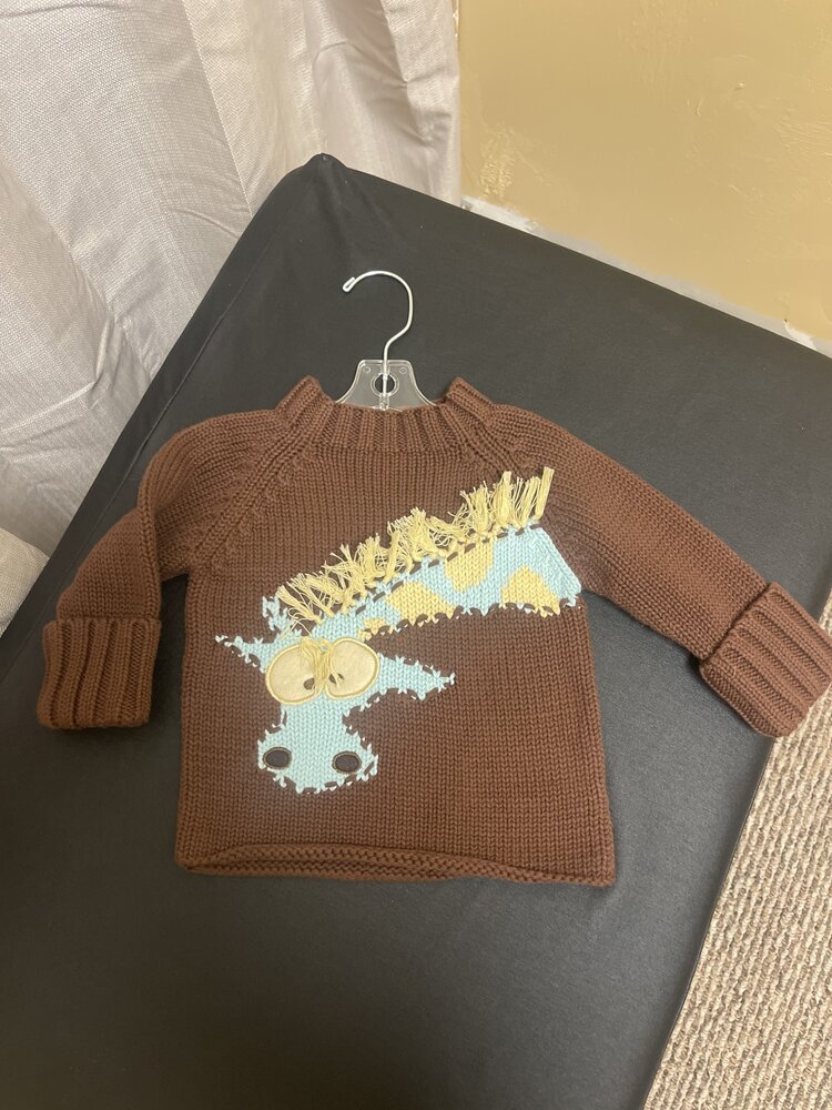 Brown Dragon Sweater, 6M