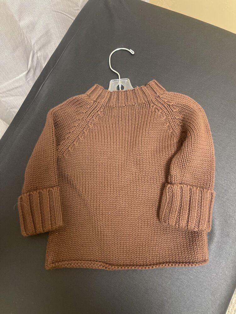 Brown Dragon Sweater, 6M