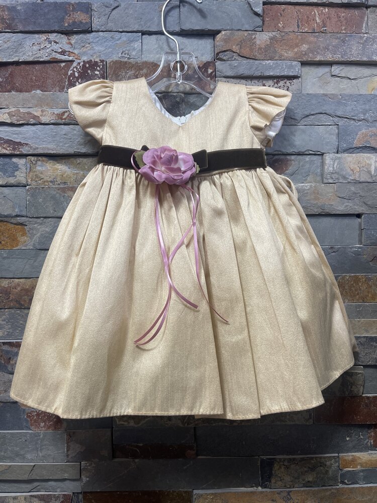 Champagne Dupioni Silk Baby Dress w/Capped Sleeves