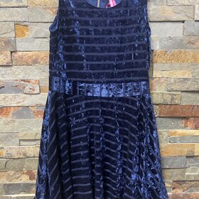 Navy Velvet Dress with Back Zipper