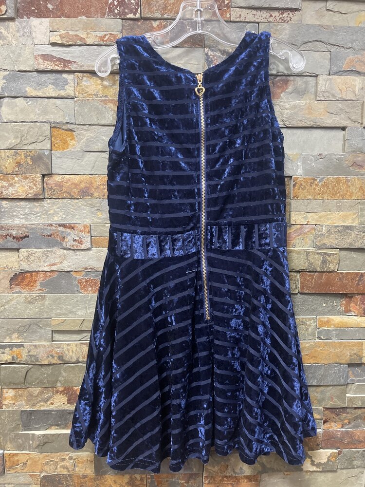 Navy Velvet Dress with Back Zipper