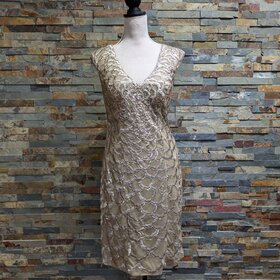 Sue Wong Beige Embroidered Dress, Size 12