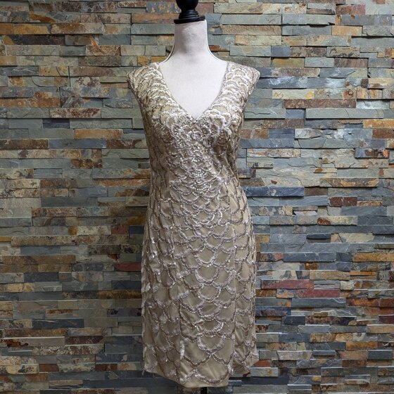 sleeveless embroidered dress Trina Turk Women's Zana Embroidered Mini Dress in Sanctuary size 10