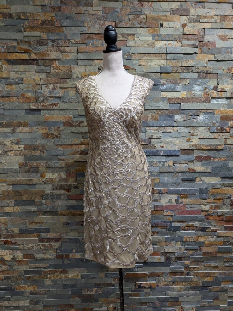 Sue Wong Beige Embroidered Dress, Size 12