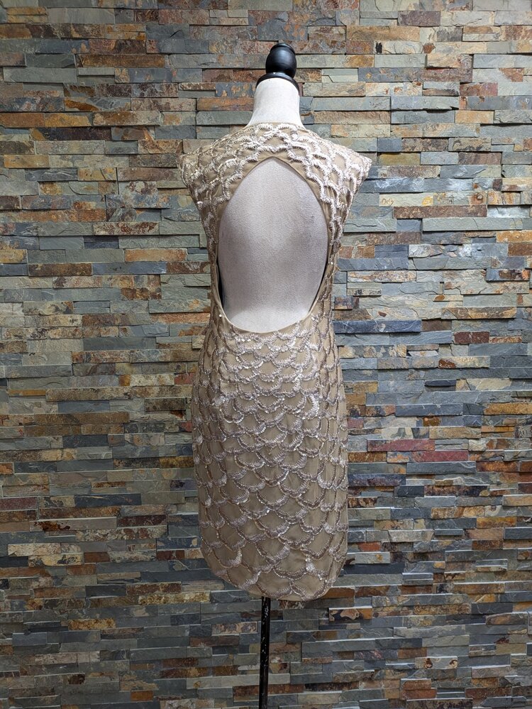 Sue Wong Beige Embroidered Dress, Size 12