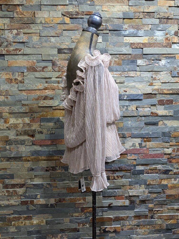 Adrianna Papell Taupe Shimmer Ruffled Edged Top, Size 16