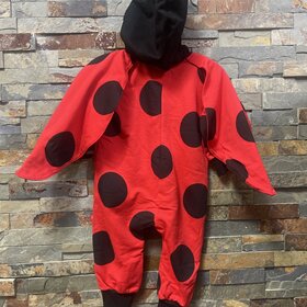 Red Ladybug Jumpsuit
