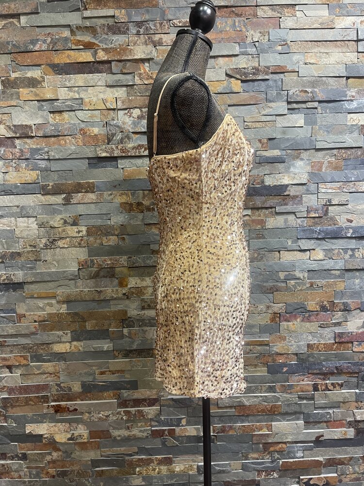 Better Me Taupe & Gold Sequin Bodycon Dress