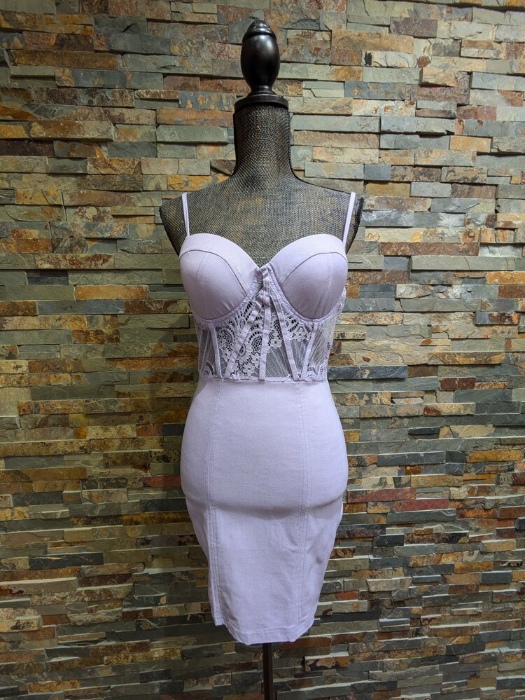 Iris Basic Ice Lavender Lace Insert Woven Bodycon Dress