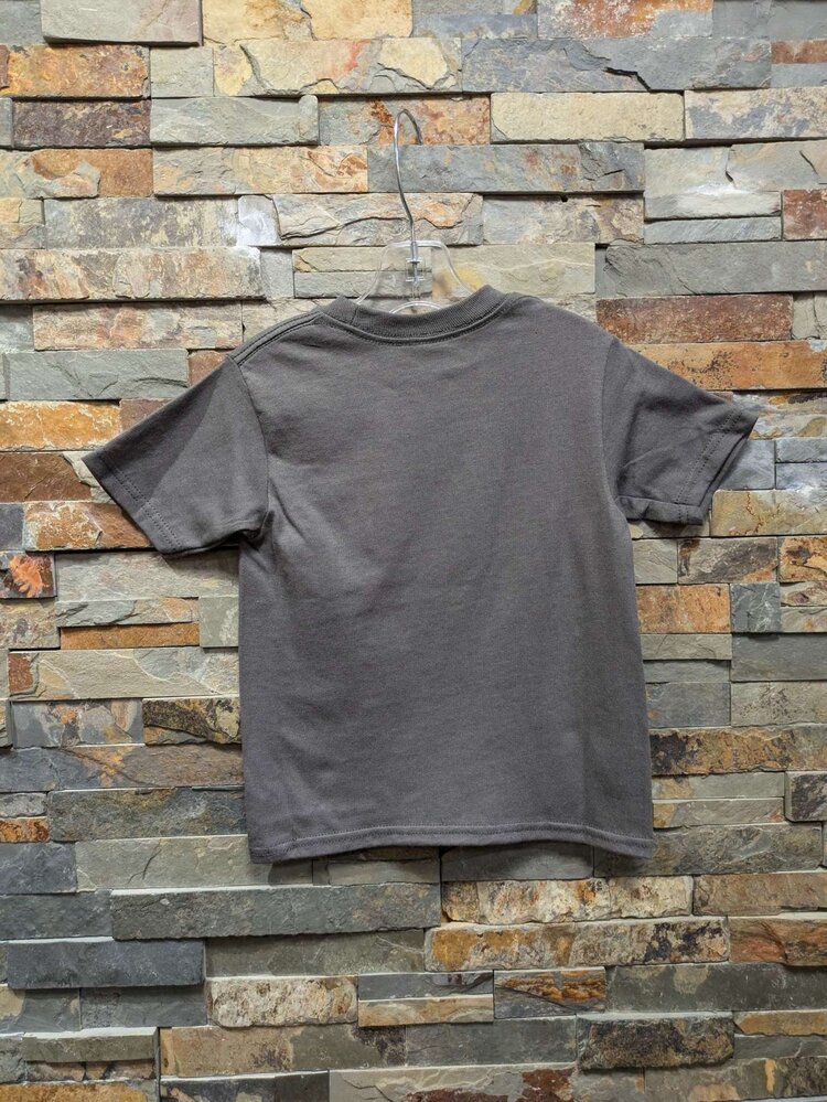 Charcoal Packer Ribbon Football T-shirt, Size 3T