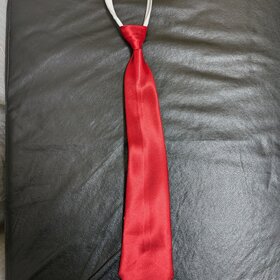 Boy's Solid Red Zipper Tie