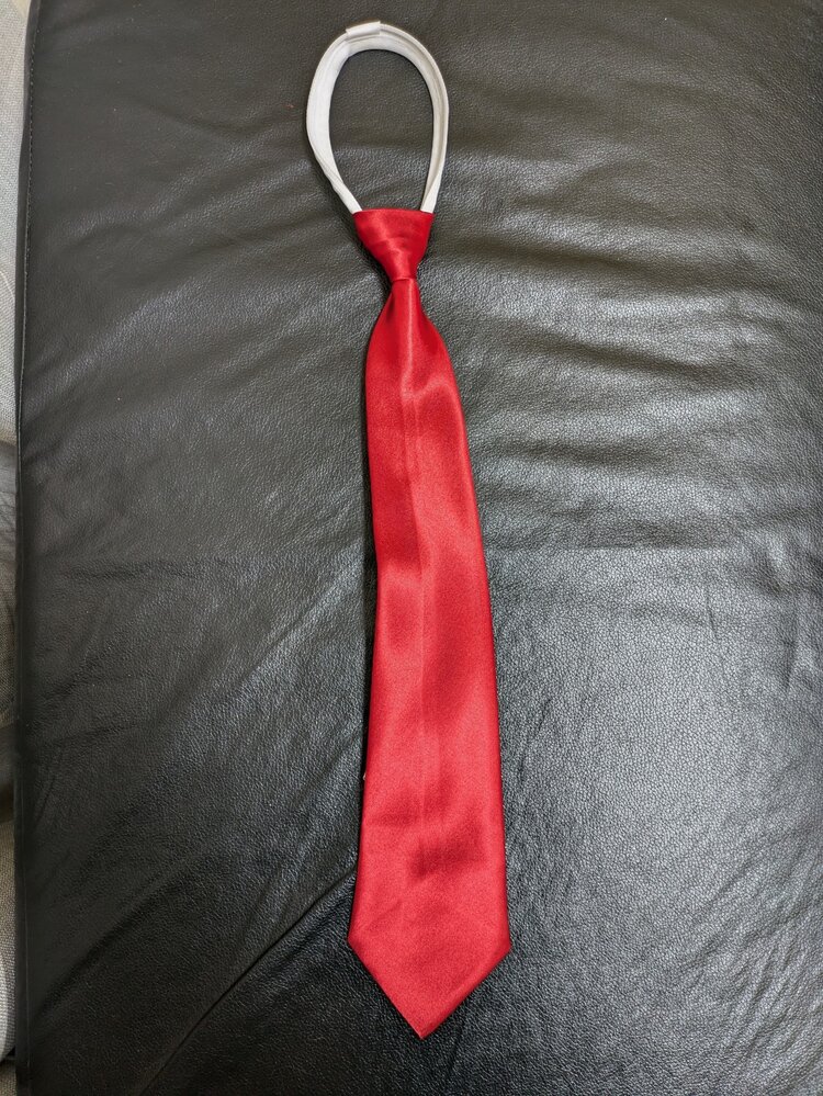 Boy's Solid Red Zipper Tie