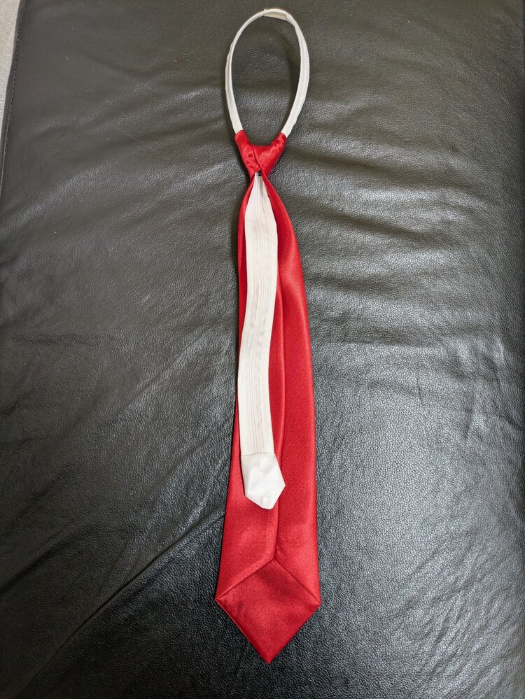 Boy's Solid Red Zipper Tie