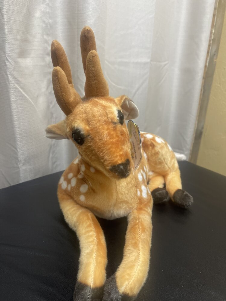 Dorbin the Deer