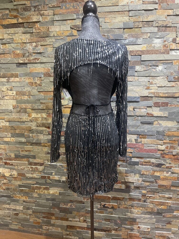 Bear Dance Black Long Sleeve Sequin Fringe Party Dress,