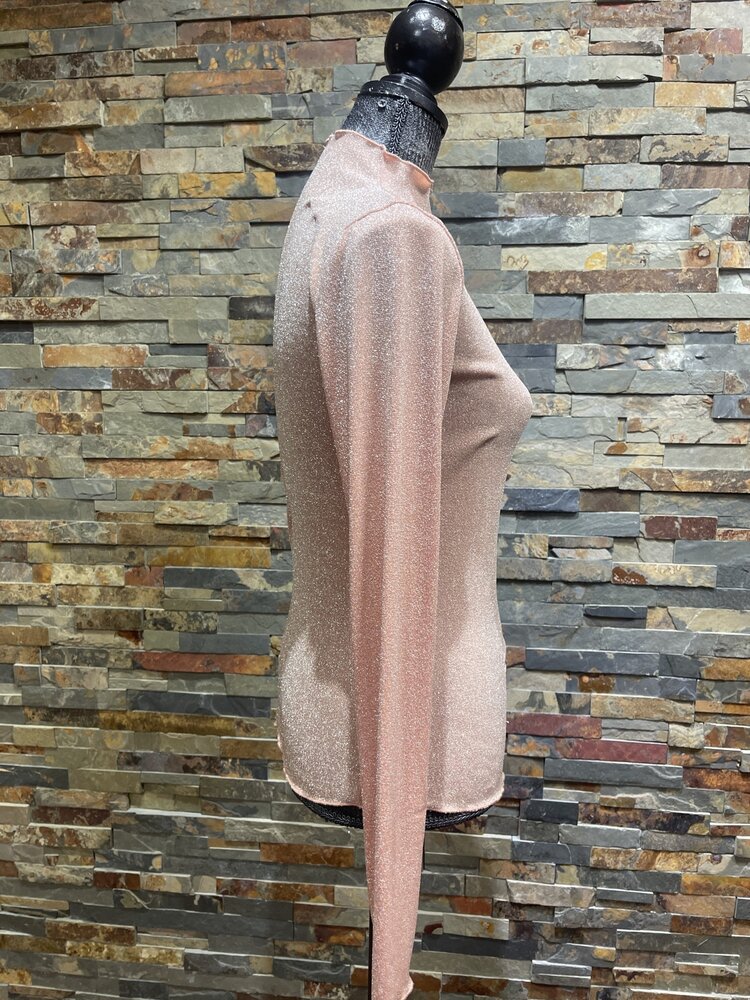 Champagne Foil Printed Mock Neck Fitted Top