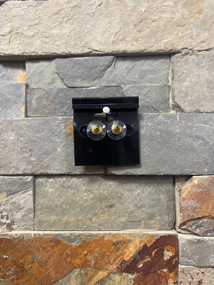 Gold Ring Stud Earrings