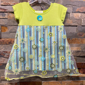 Lime and Blue Striped Dress with Floral Overlay, Size 2T