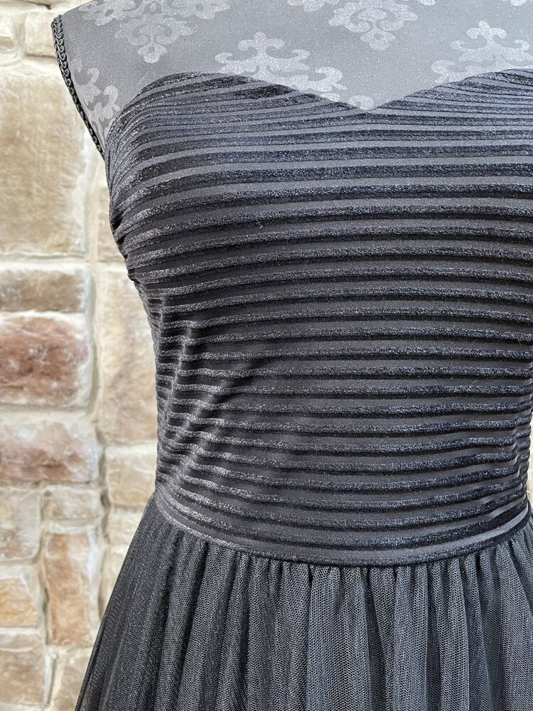 Blondie Nites Black Strapless Velvet-Piped Mesh Gown