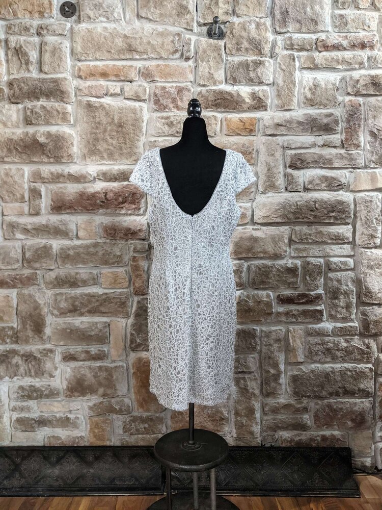 Silver Illusion Dress, Size 16