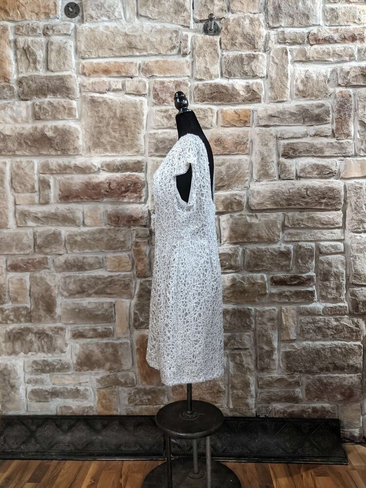 Silver Illusion Dress, Size 16