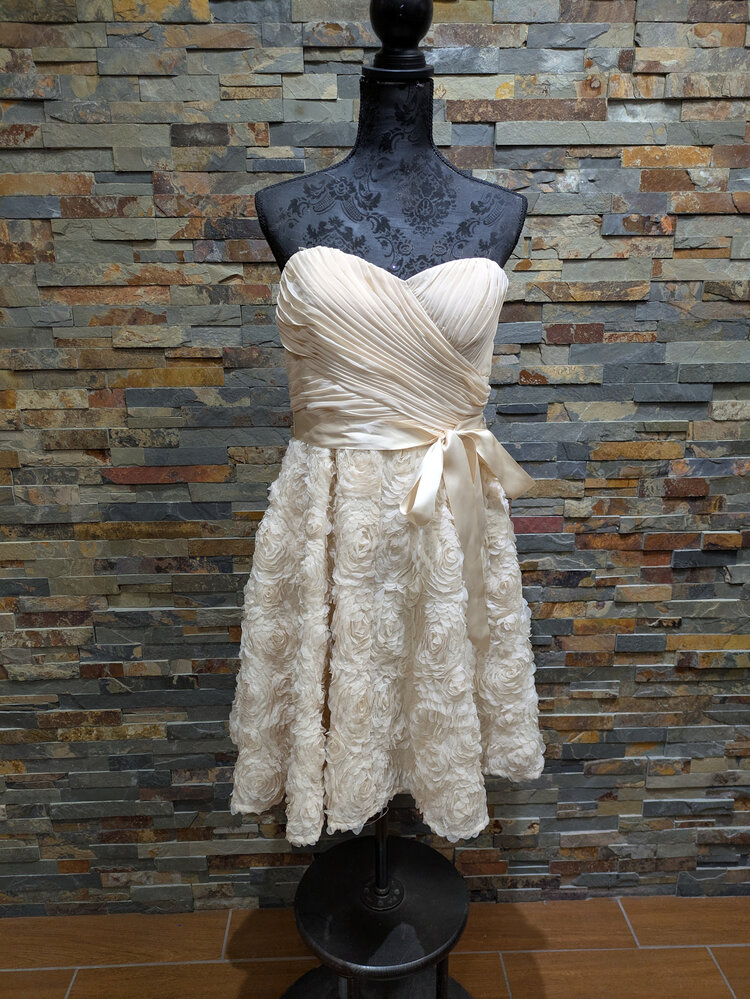 Aidan Mattox Ivory Rosebud Lace Dress with Pockets, Size 14