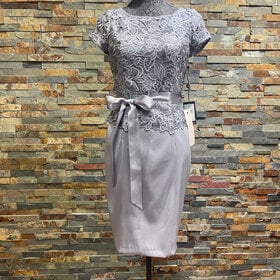 Adrianna Papell Silver/Gray Dress with Floral Sequin Lace Overlay Top, Size 4P