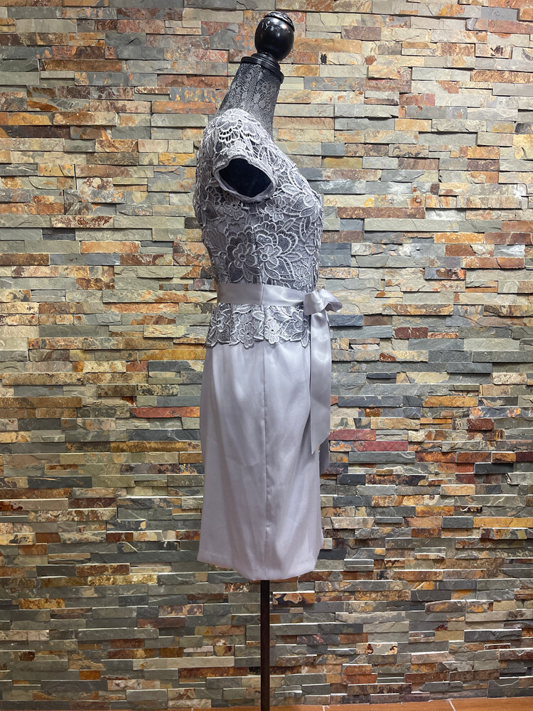 Adrianna Papell Silver/Gray Dress with Floral Sequin Lace Overlay Top, Size 4P