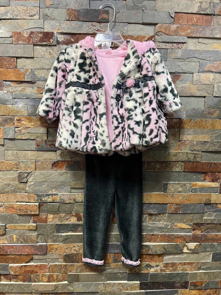 Gray Pants, Pink Top and Animal Print Coat Set, Size 12M